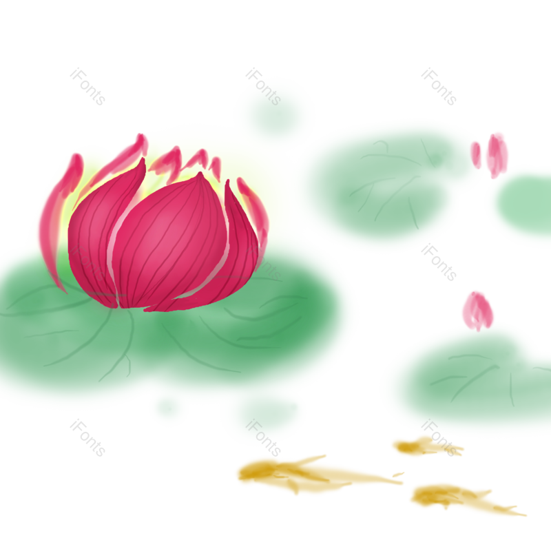 中国风图片,锦鲤元素,荷花PNG,夏天免抠素材